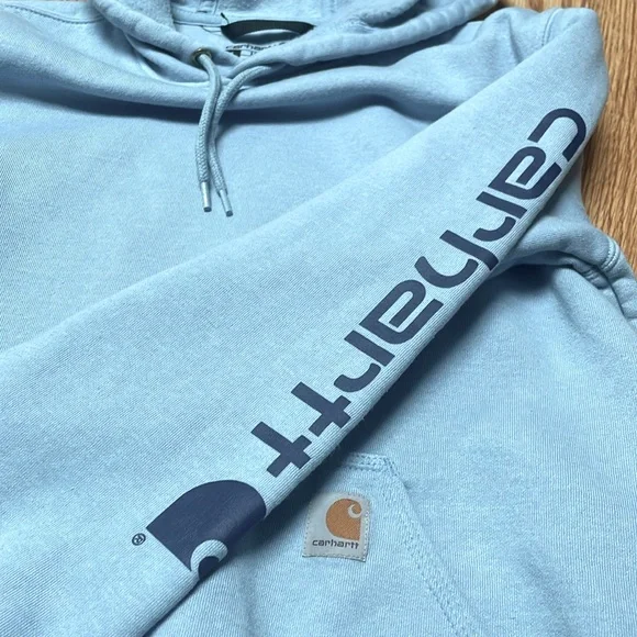 Carhartt Graphic Sweatshirt Hoodie Women’s Size Small Loose Fit From Fall 2022 - Picture 5 of 10